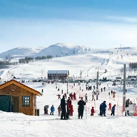 Semesterbostad Lovely In Rauland With Sauna *